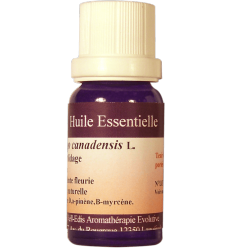 Huile Essentielle de Solidage 12 ml