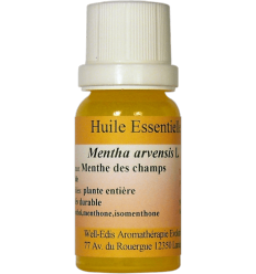 Huile Essentielle de Menthe des champs