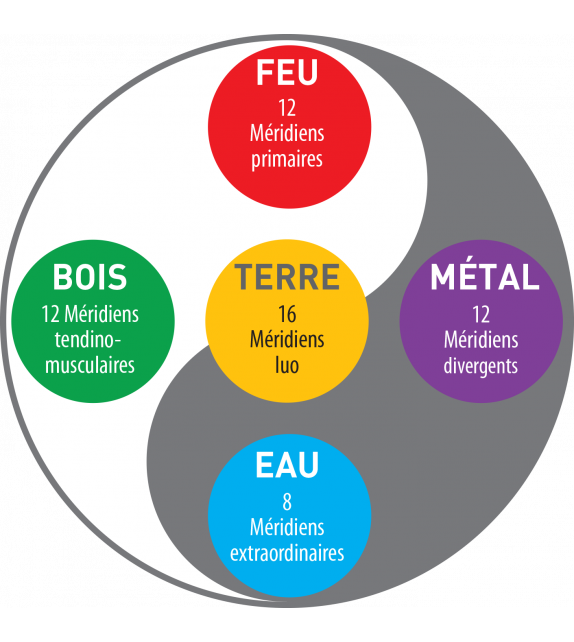 Visioconférence sur les 5 Systèmes de méridiens