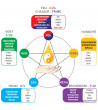 Visioconférence sur les 5 Systèmes de méridiens