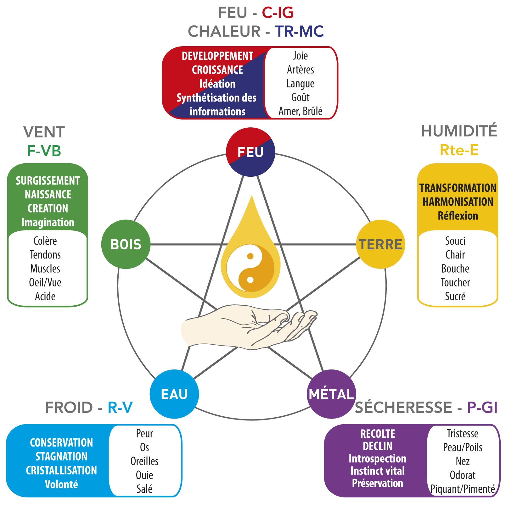 loi 5 éléments